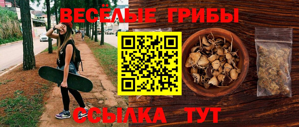 Галлюциногенные грибы Psilocybine cubensis  Вход с VPN  Гудермес  Галлюциногенные грибы Psilocybe 
